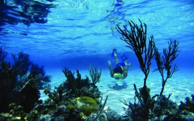 Belize Snorkel Sites